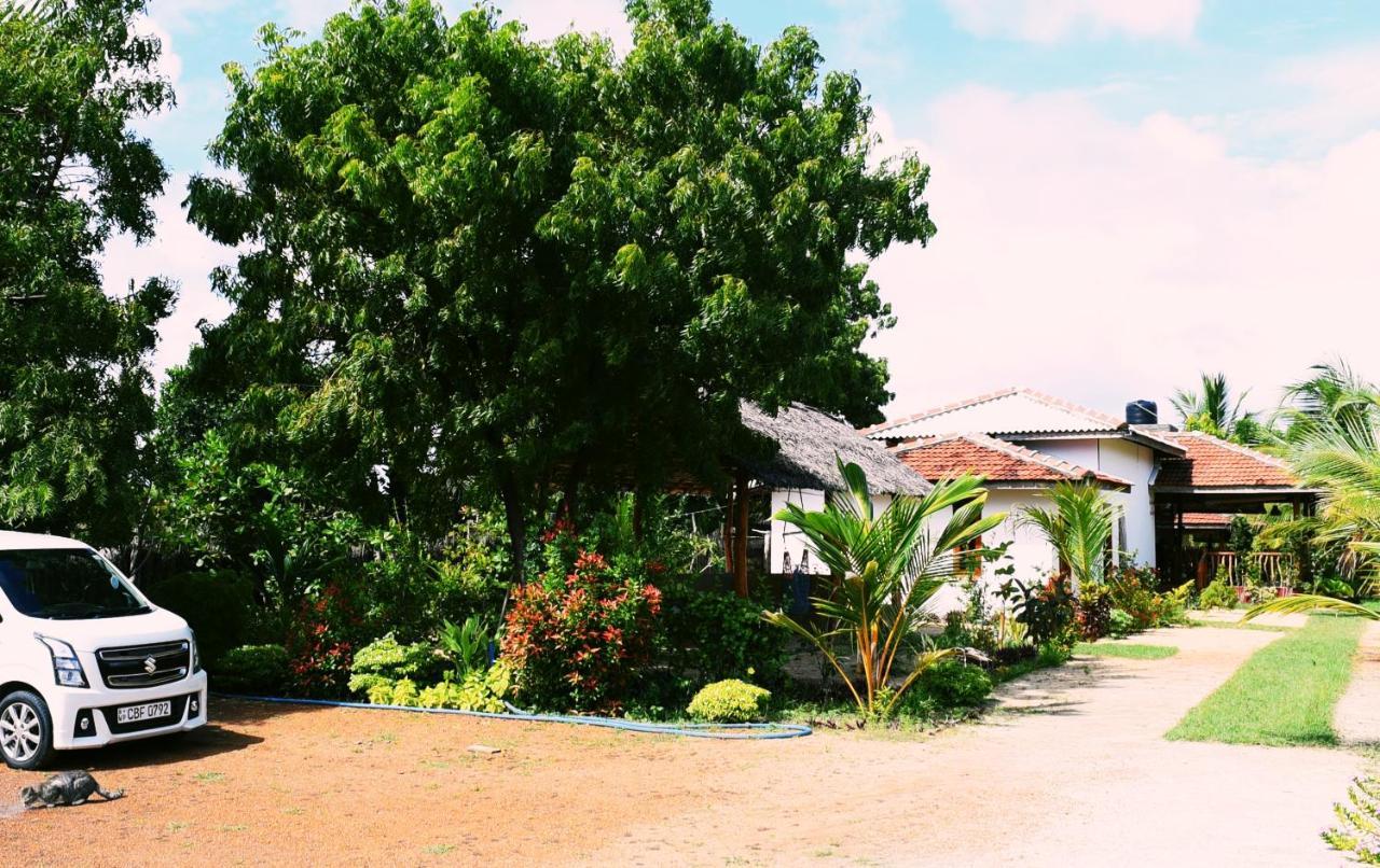 Prime Surfers Bungalow Arugam Kudah Eksteriør bilde