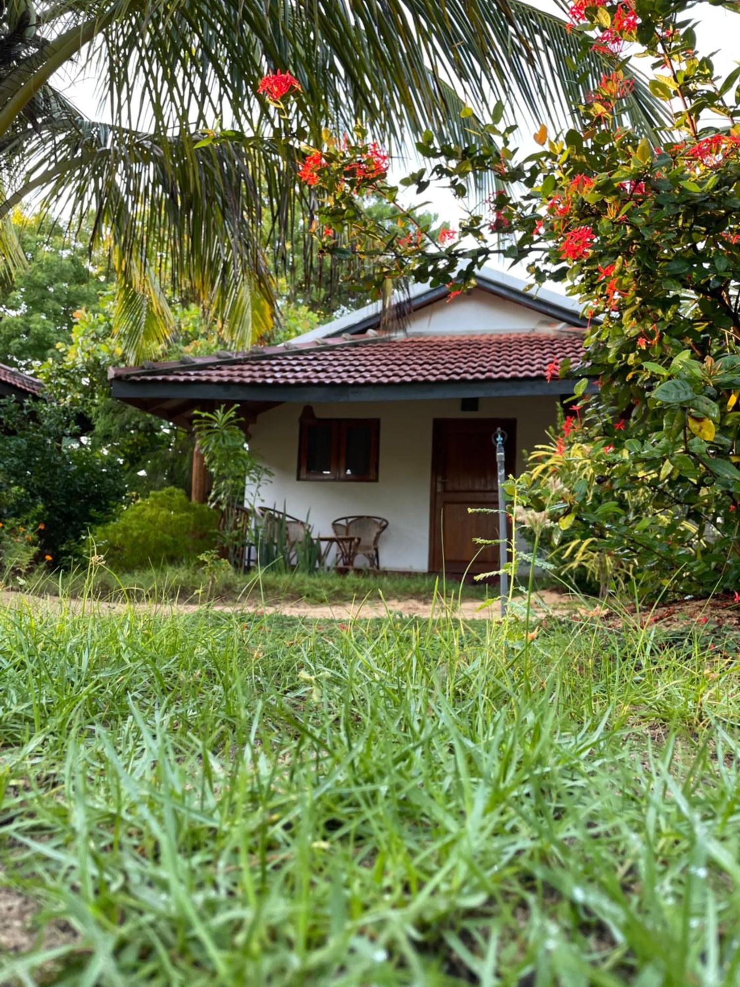 Prime Surfers Bungalow Arugam Kudah Eksteriør bilde